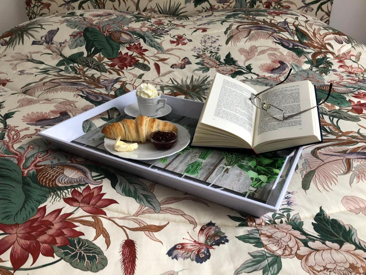 Ohana Bed And Breakfast 조르게 외부 사진